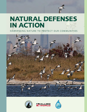 Natural defenses in action: harnessing nature to protect our communities